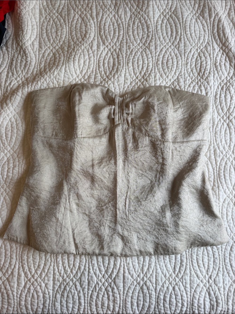 Strapless Metallic Silver corset Top